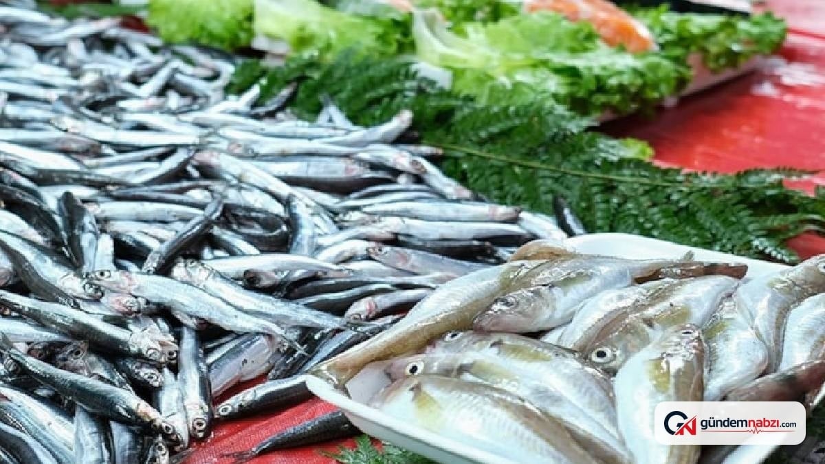 Cıva riski en düşük ve en besleyici balıklar belirlendi