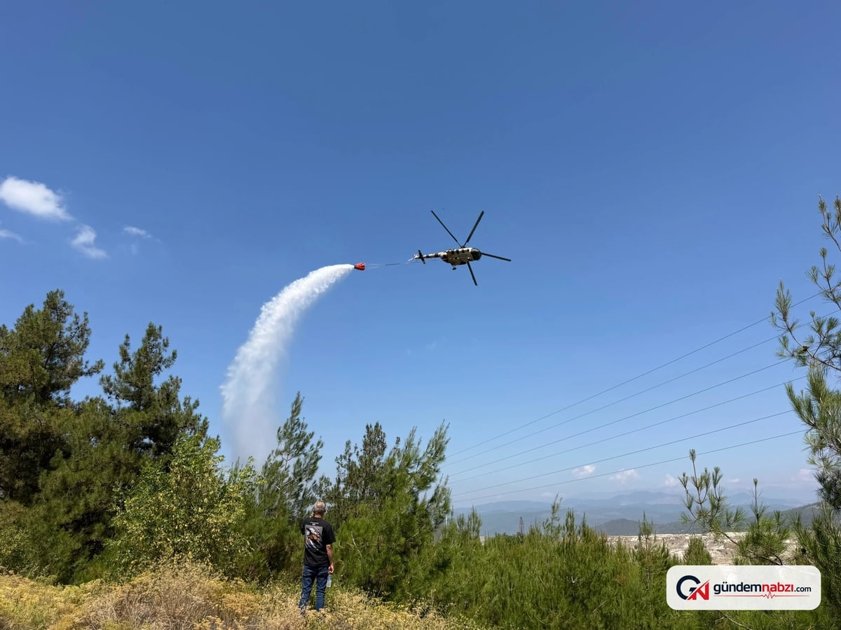 Bursa'da Orman yangını havadan ve karadan müdahaleyle söndürüldü