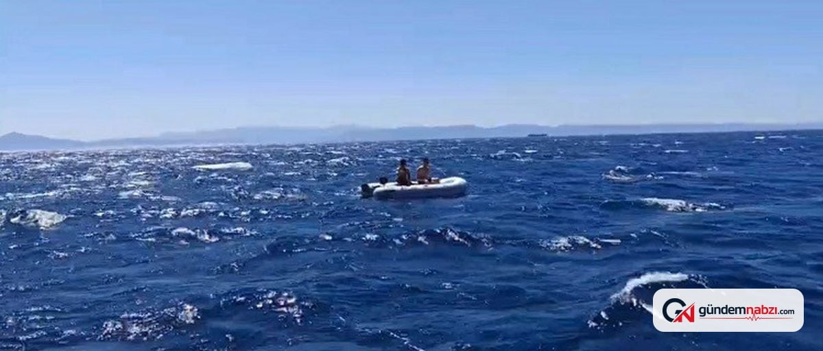Balıkesir Ayvalık'ta lastik bottaki 2 kişi kurtarıldı