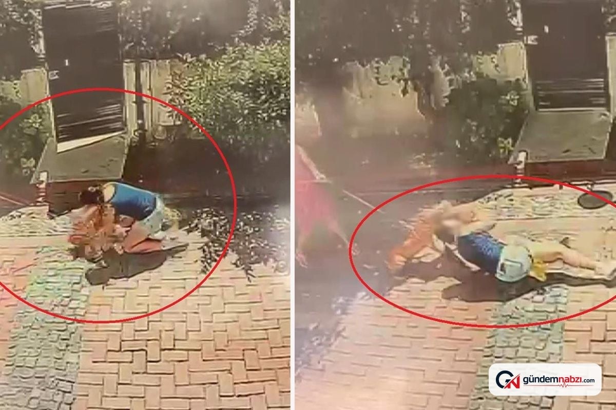 Samsun'da pitbull, Çocuk ve Köpeğe saldırdı