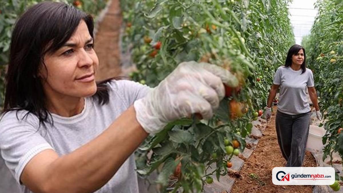Fadime Uysal, seracılıkta başarı hikayesini yazıyor