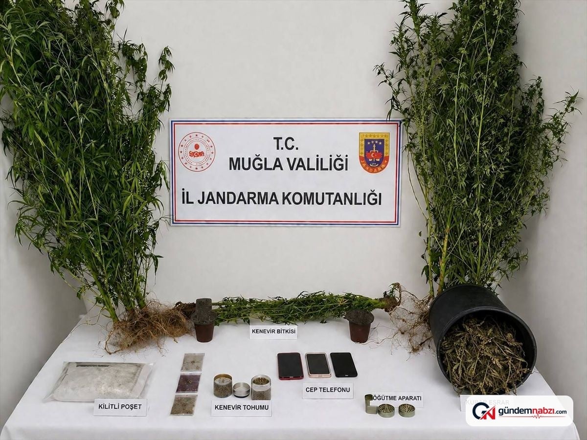Muğla'da uyuşturucu operasyonunda 33 kişi tutuklandı