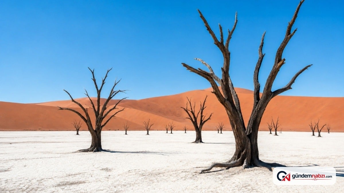 900 yıldır su görmeyen bölge: Deadvlei