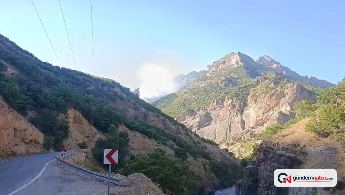 Munzur Vadisi'nde örtü altı yangınına müdahale