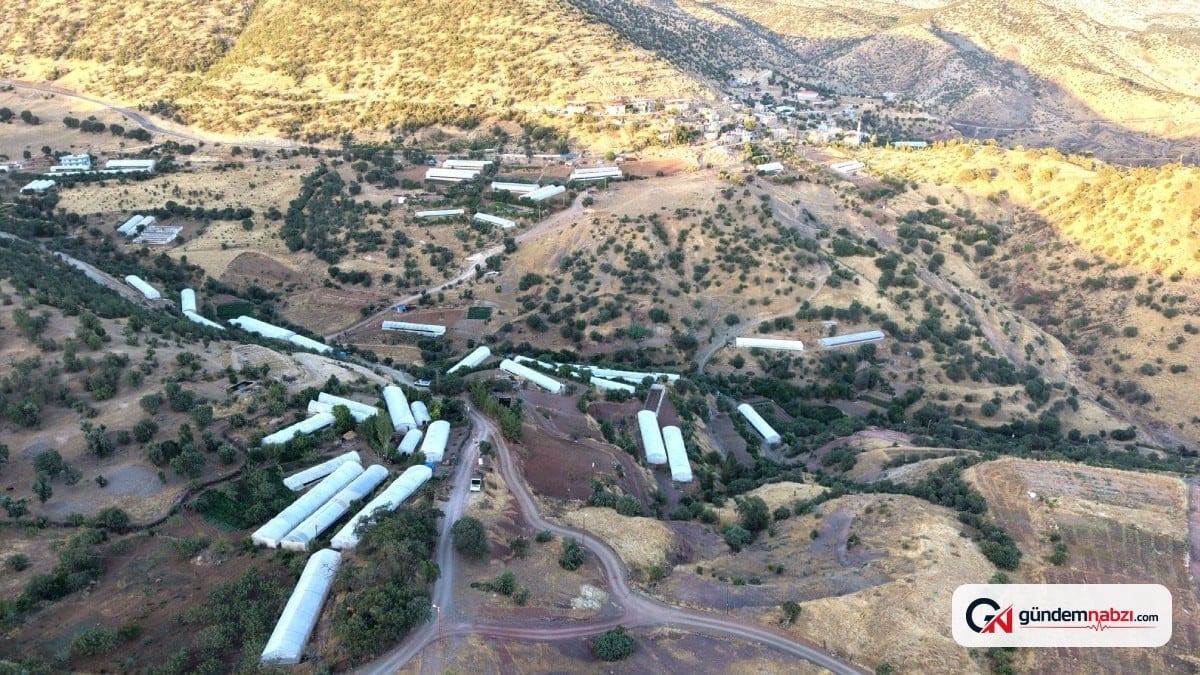 Ulaştı'da sera sayısı 180'e çıktı, köye dönüşler başladı