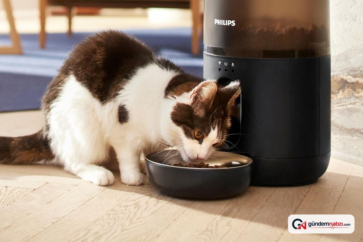 Philips'ten kedi sahiplerine özel yeni akıllı serisi