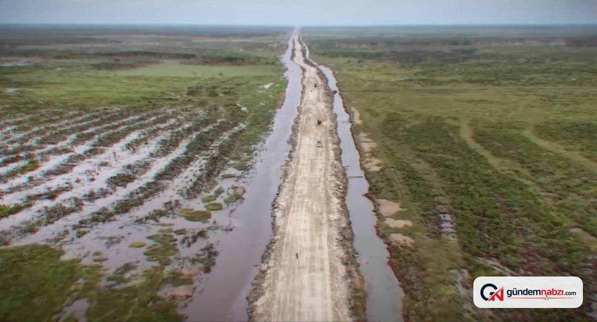Borneo'daki Mega pirinç projesi felakete yol açtı