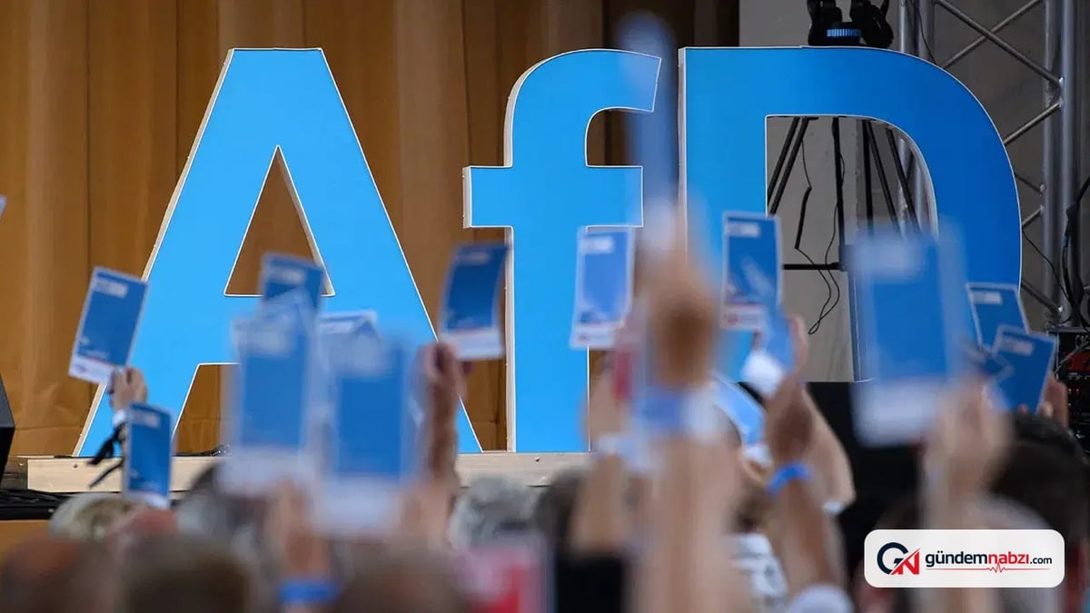 Almanya'da hukukçulardan AfD'nin yasaklanması için çağrı