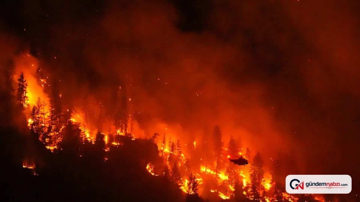Kanada'nın British Columbia eyaletinde orman yangını alarmı