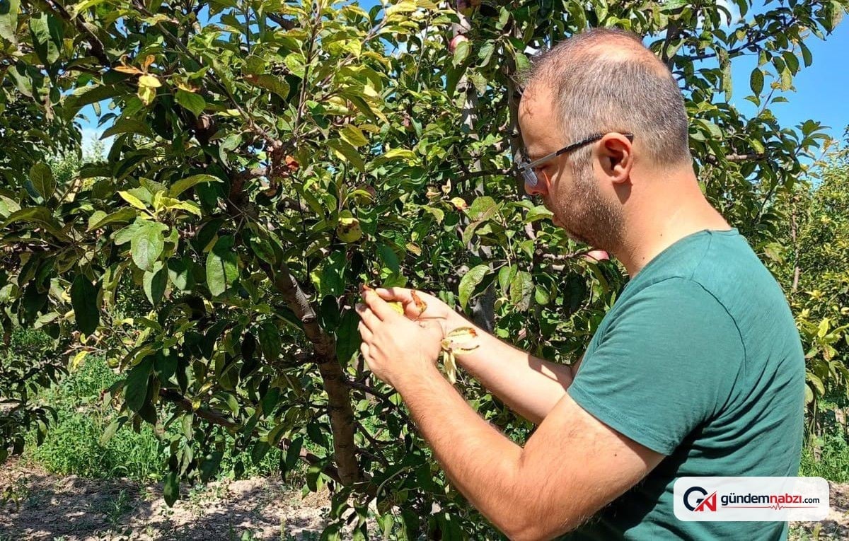 Konya Beyşehir'de tarım arazileri denetim altında