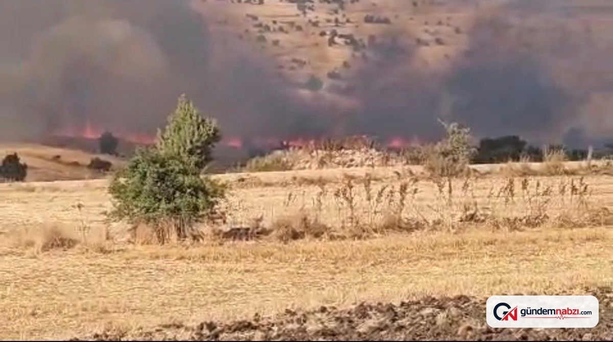 Eskişehir'de tarım arazisinde yangın çıktı