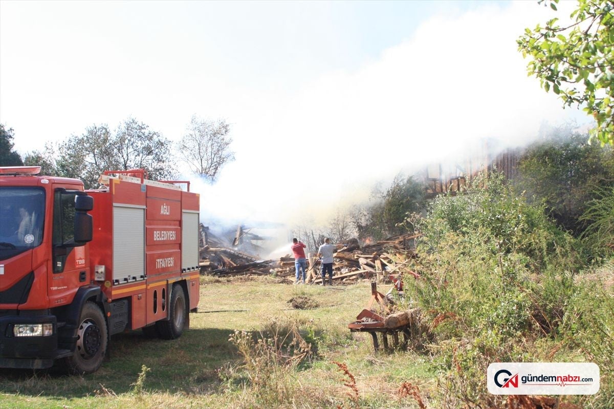 Kastamonu'da yangında iki ev ve yedi hayvan telef oldu