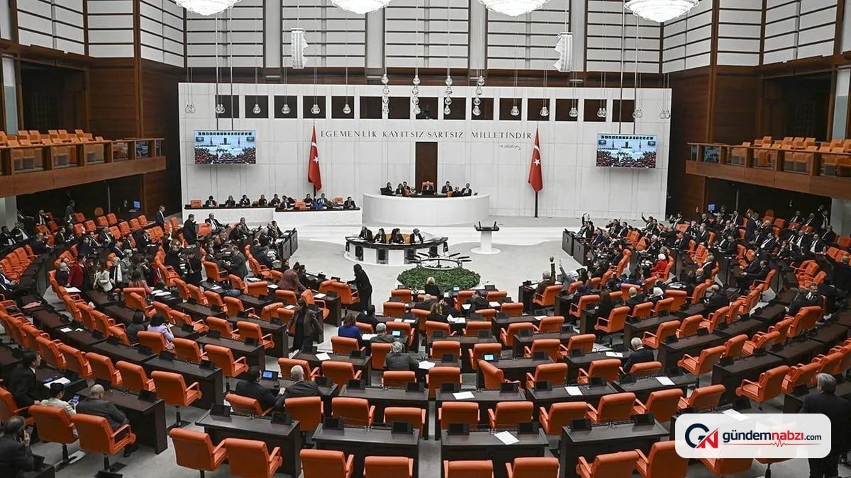 Meclis'in yeni haftadaki önceliği öğrenci affı olacak