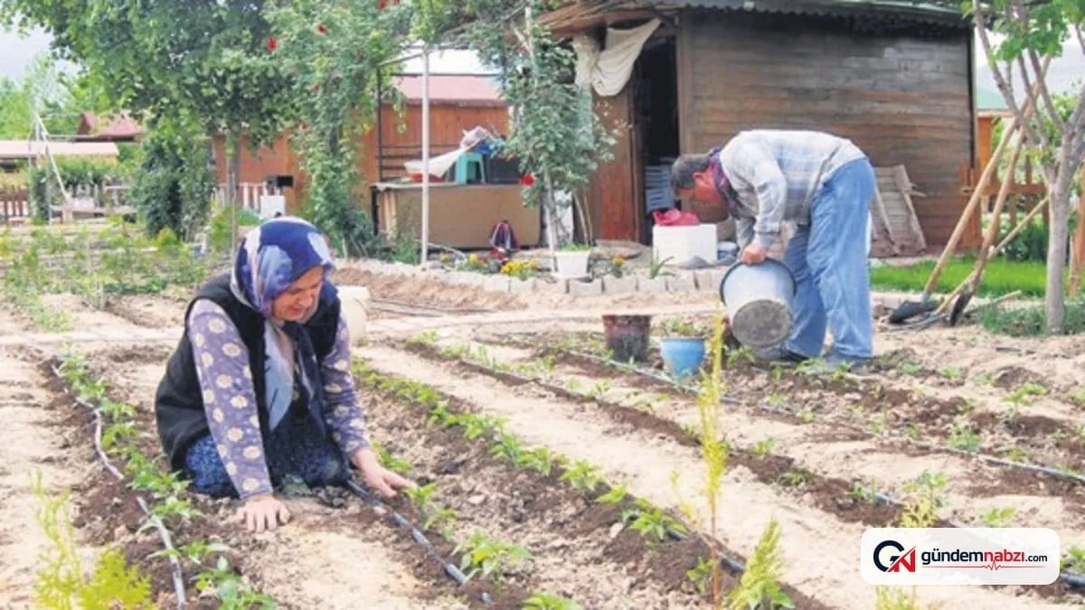 Hobi bahçeleri için yeni yönetmelik hazırlandı