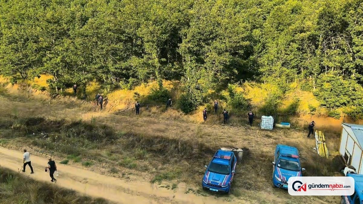 Bilecik'te Jandarma operasyonunda 40 kök kenevir ele geçirildi