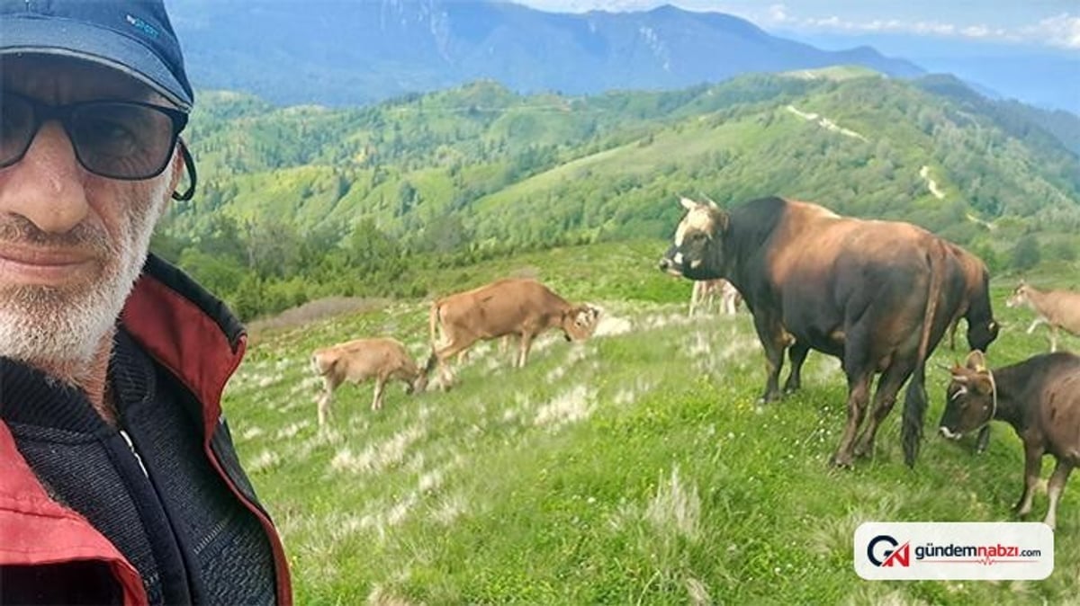 Boğa Güreşleri öncesi boğası tarafından saldırıya uğradı