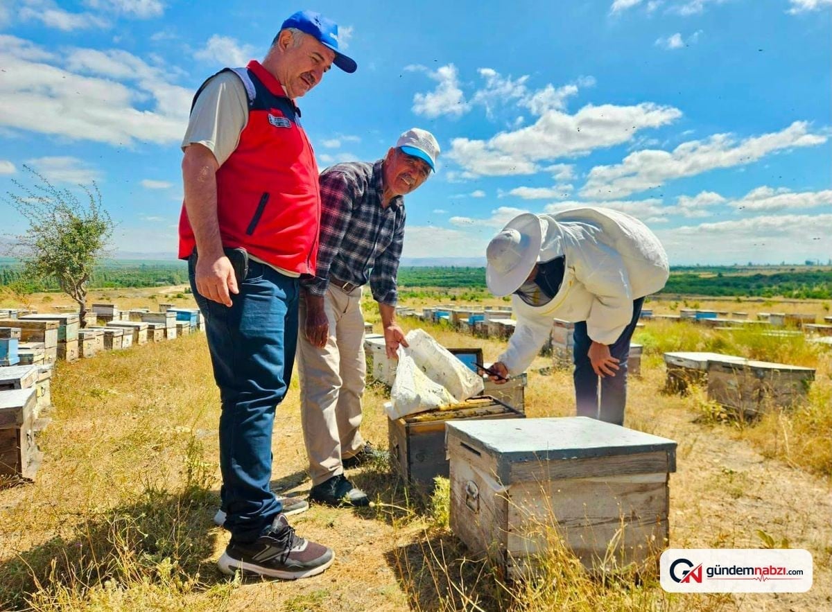 Arılı kovan destekleri için denetimler devam ediyor