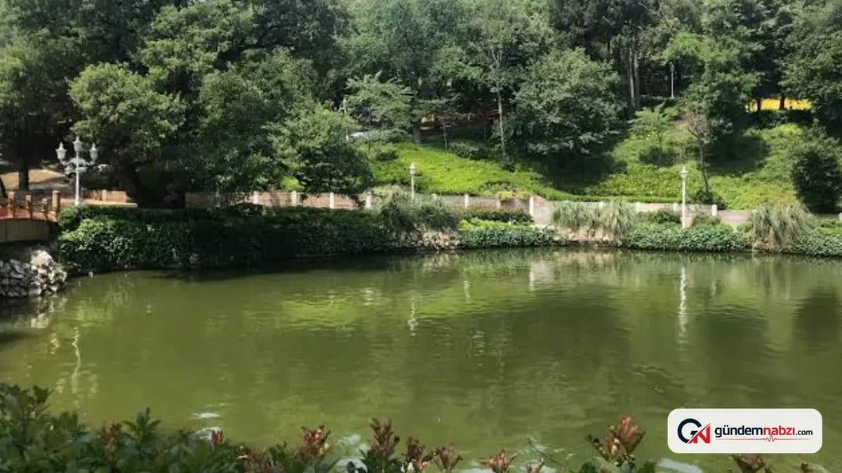 İstanbullular yeşil alan projelerine yoğun ilgi gösterdi