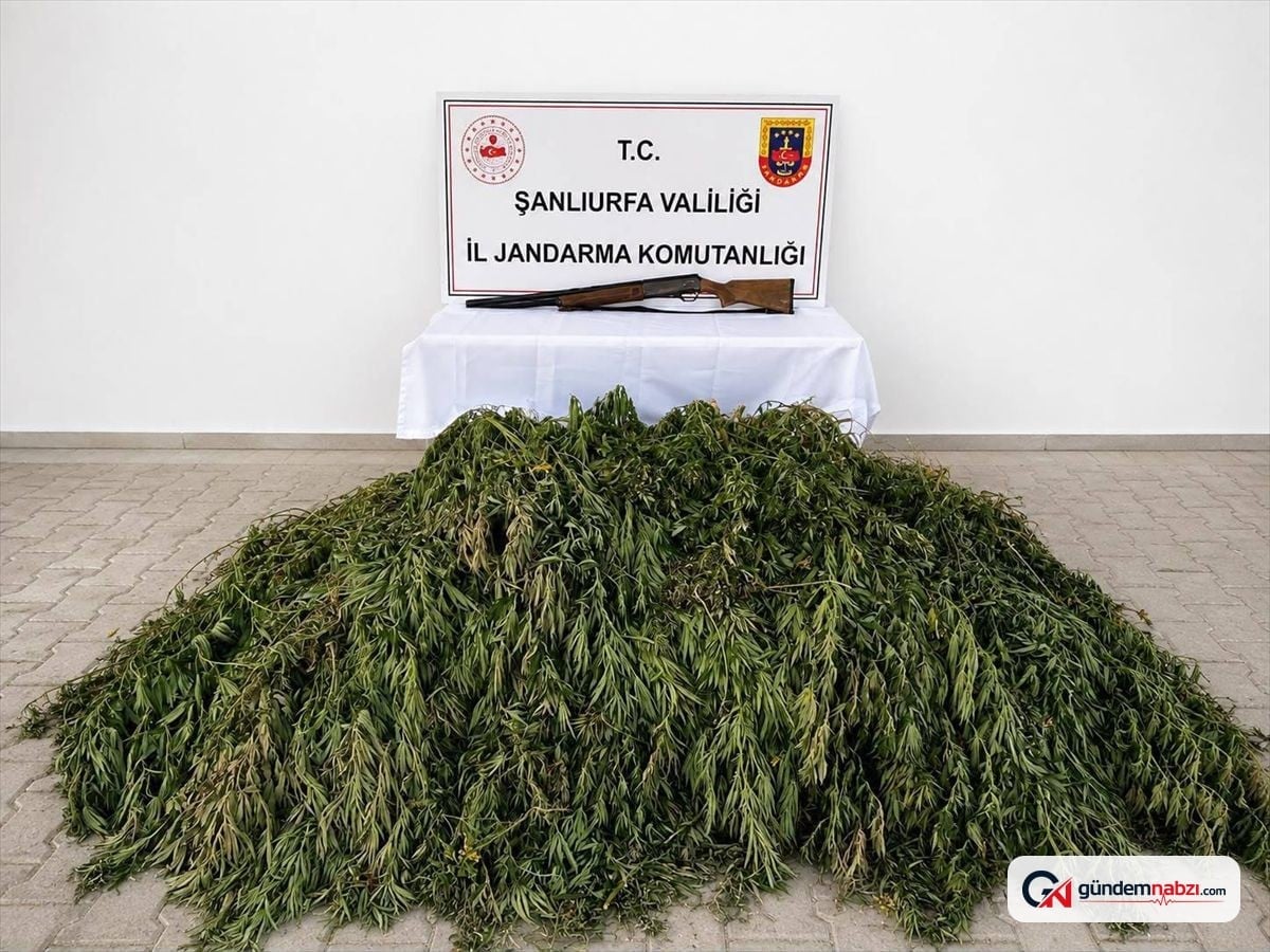 Şanlıurfa'da uyuşturucu operasyonu: 1 gözaltı
