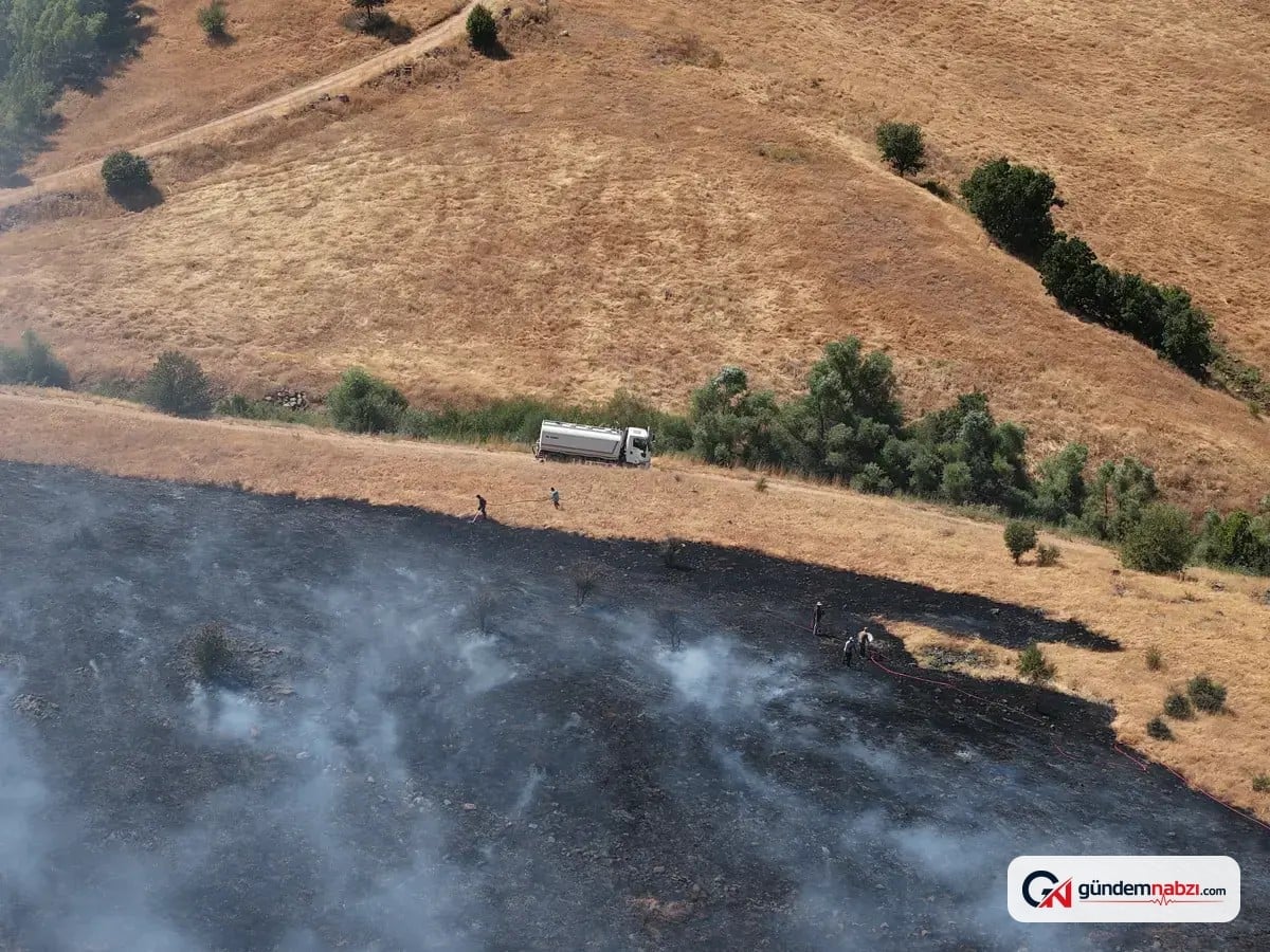 Tunceli'deki orman yangını kontrol altına alındı