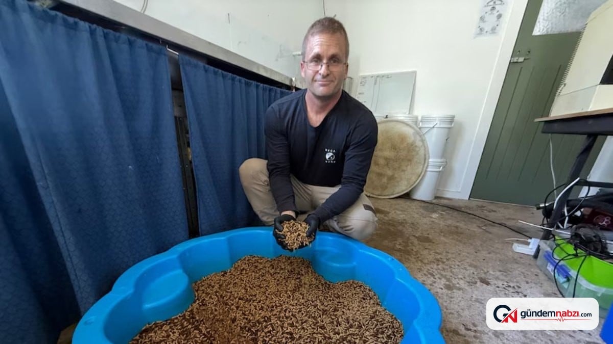 50 larvayla başlayan böcek çiftliği, gelir kaynağı oldu
