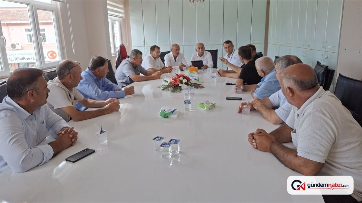 Samsun'da 2026 yılı çeltik maliyet raporu açıklandı