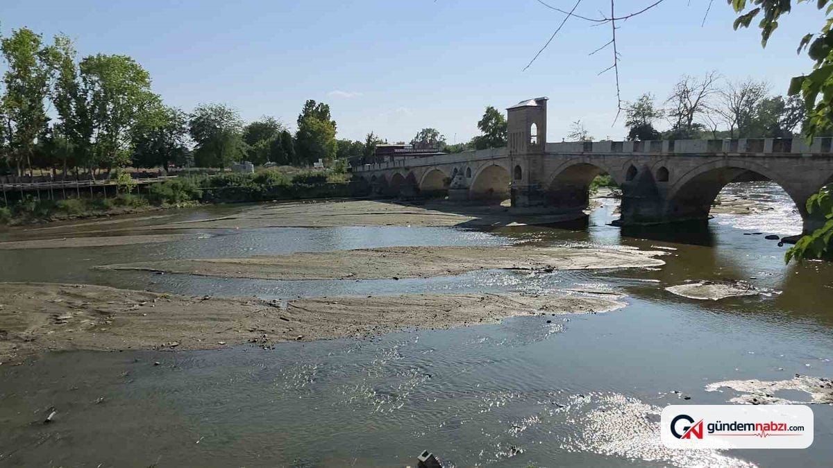 Tunca Nehri'nde kuraklık: Kum adacıklarında kuşlar dinleniyor