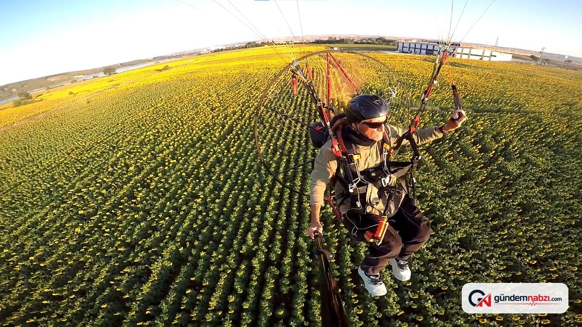 Edirne'de ayçiçeği tarlaları üzerinde paramotorla uçtu