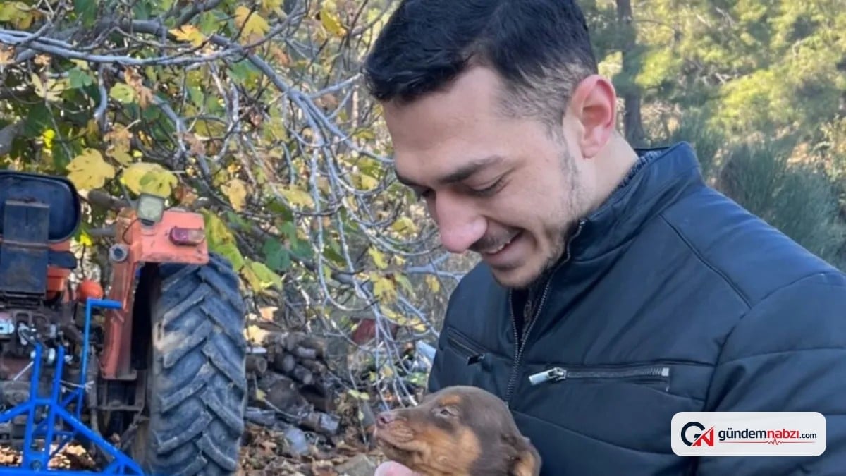 Motosiklet sürücüsü Ayhan Ertaş hayatını kaybetti