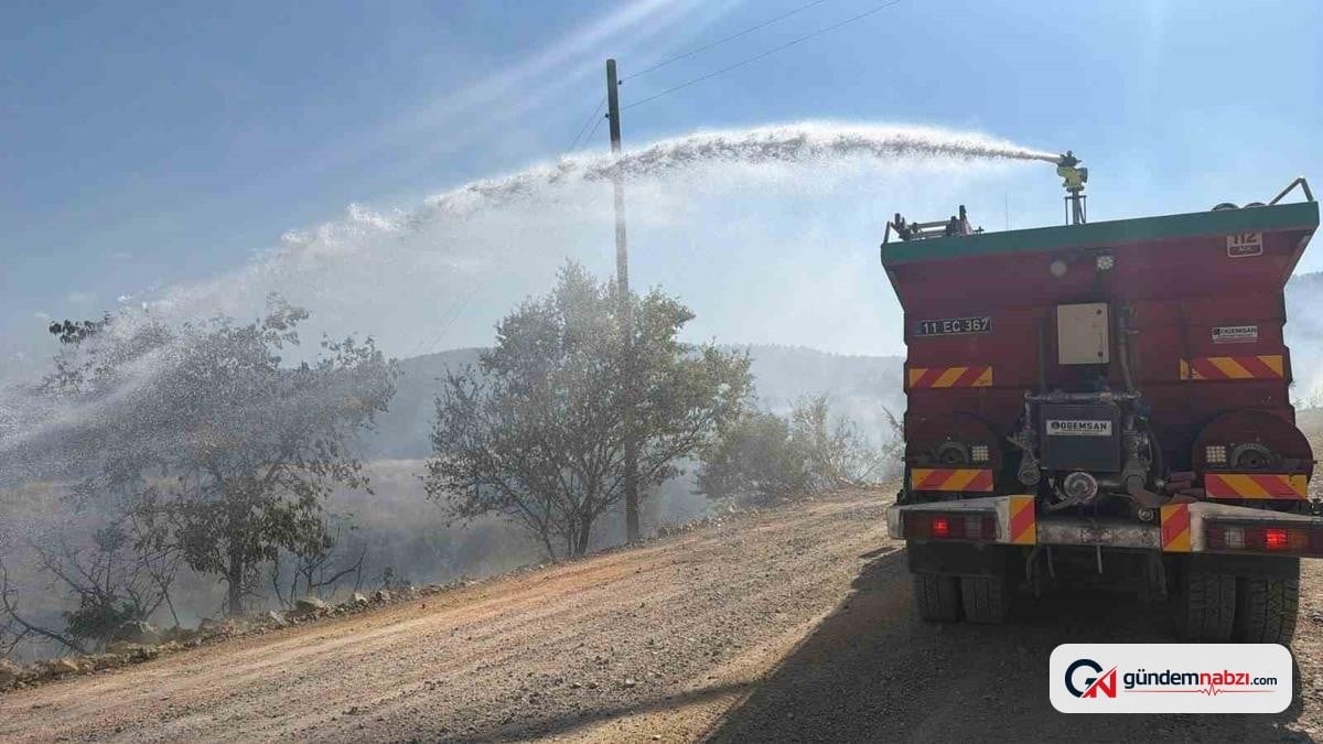 Bilecik'te devrilen elektrik direği yangına yol açtı