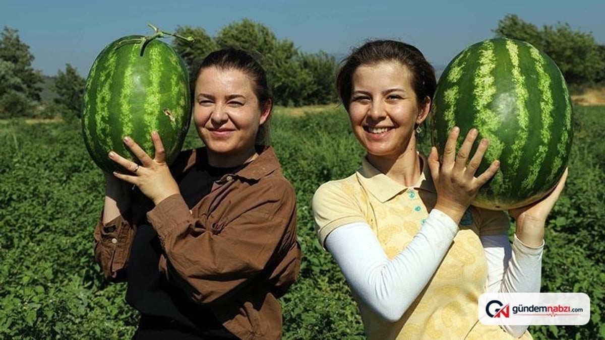 Diplomalı kız kardeşler, tarımda yeni bir yol açtı