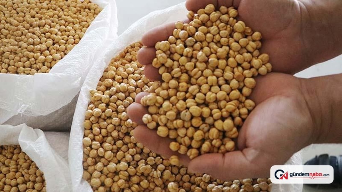 Serinhisar'dan 40 ülkeye leblebi ihracatı yapılıyor