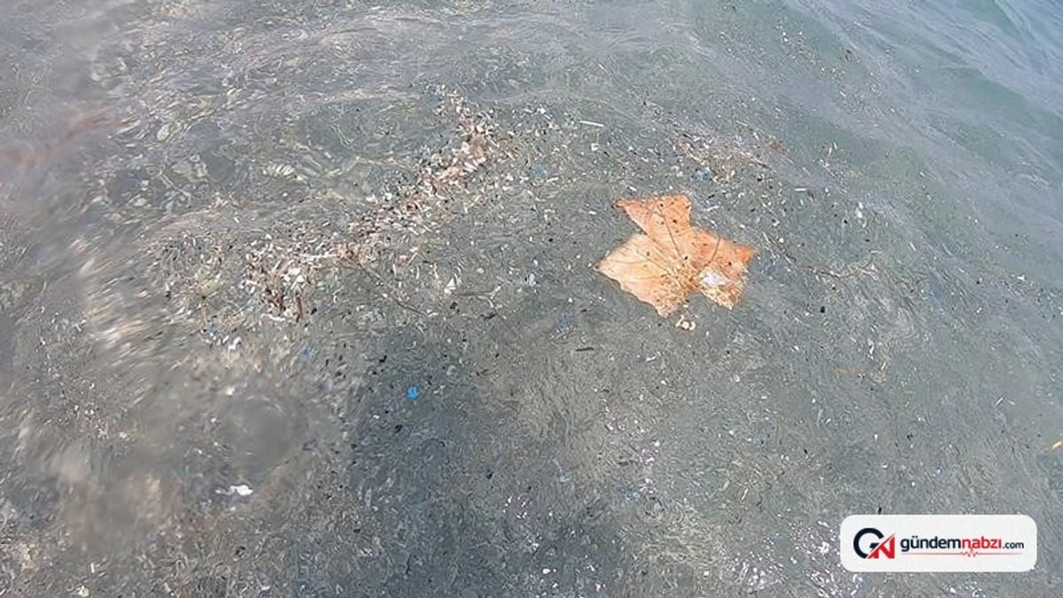 Antalya kıyılarındaki mikroplastik kirliliği artıyor
