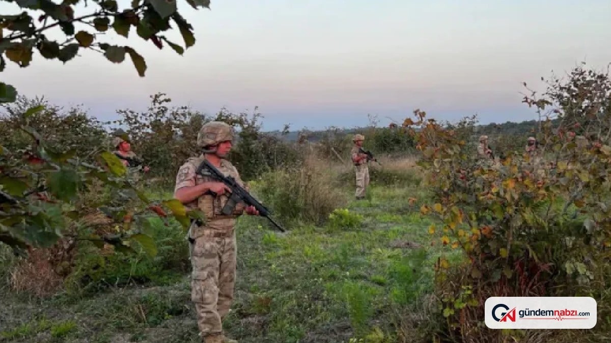 Karabük'te safran tarlalarında jandarma 24 saat nöbet tutuyor