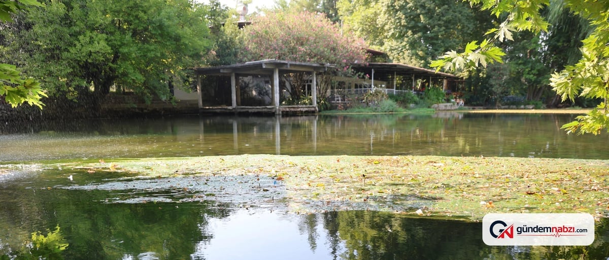Adana'da Bucak Vadisi yaz sıcaklarından kaçanların gözdesi