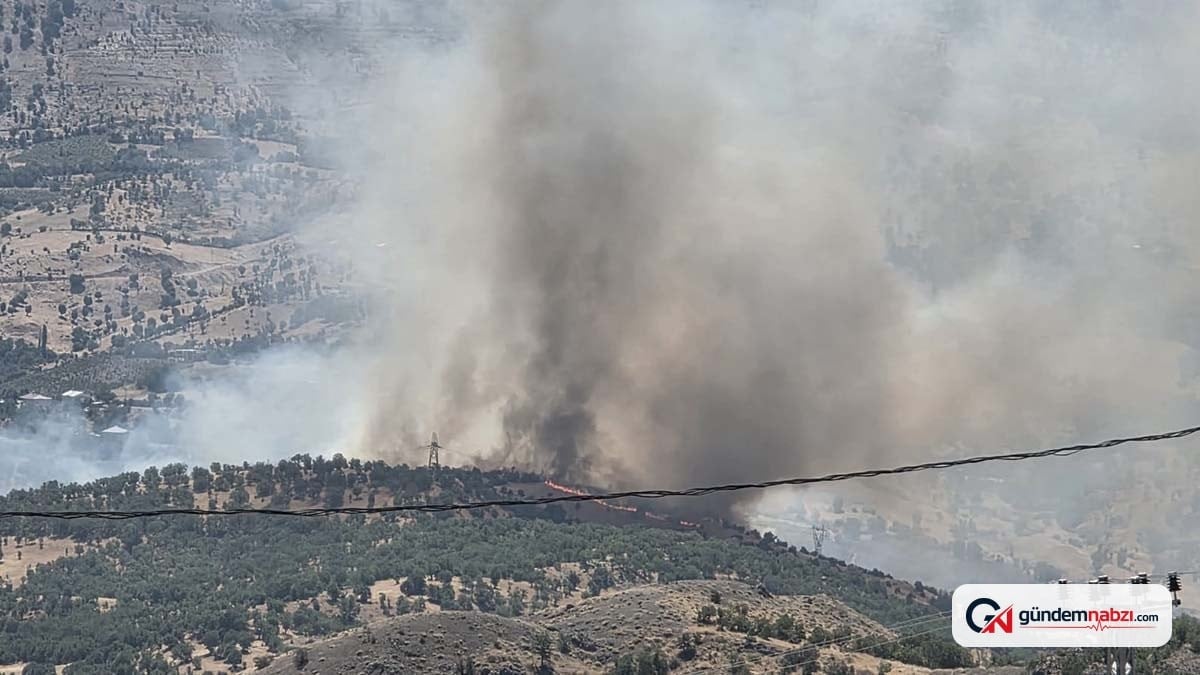 Adıyaman Gerger'de Orman yangını başladı