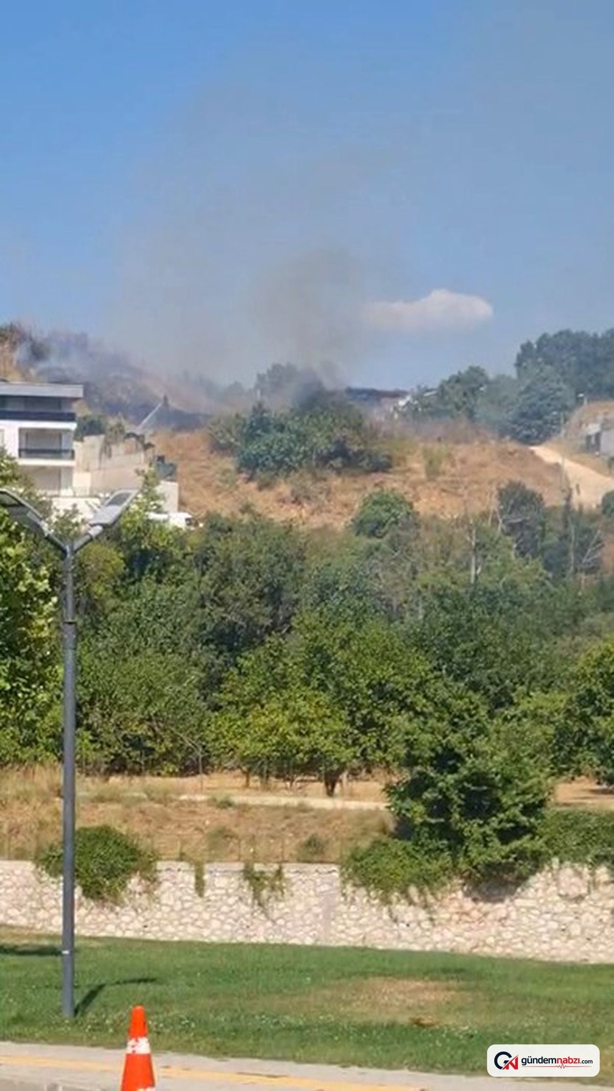 Bursa Nilüfer'de otluk alanda yangın çıktı