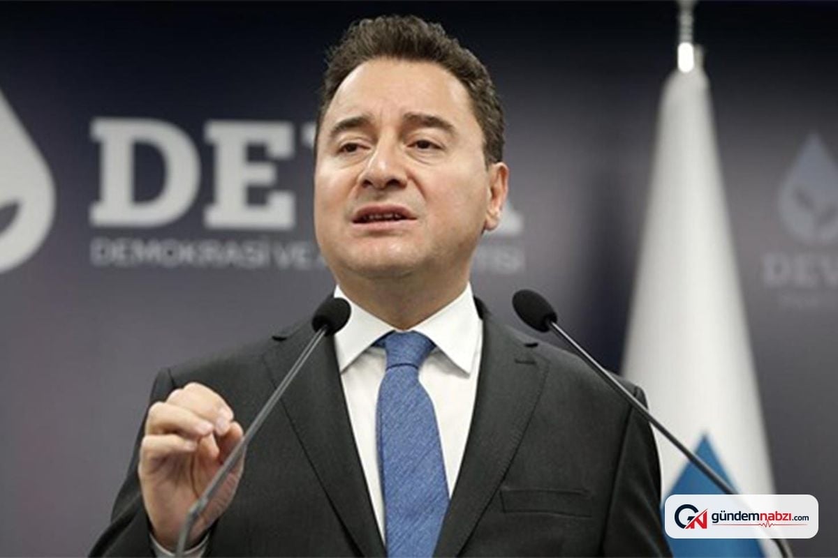 Ali Babacan, Çerçeve yasa'ya tam destek verdi