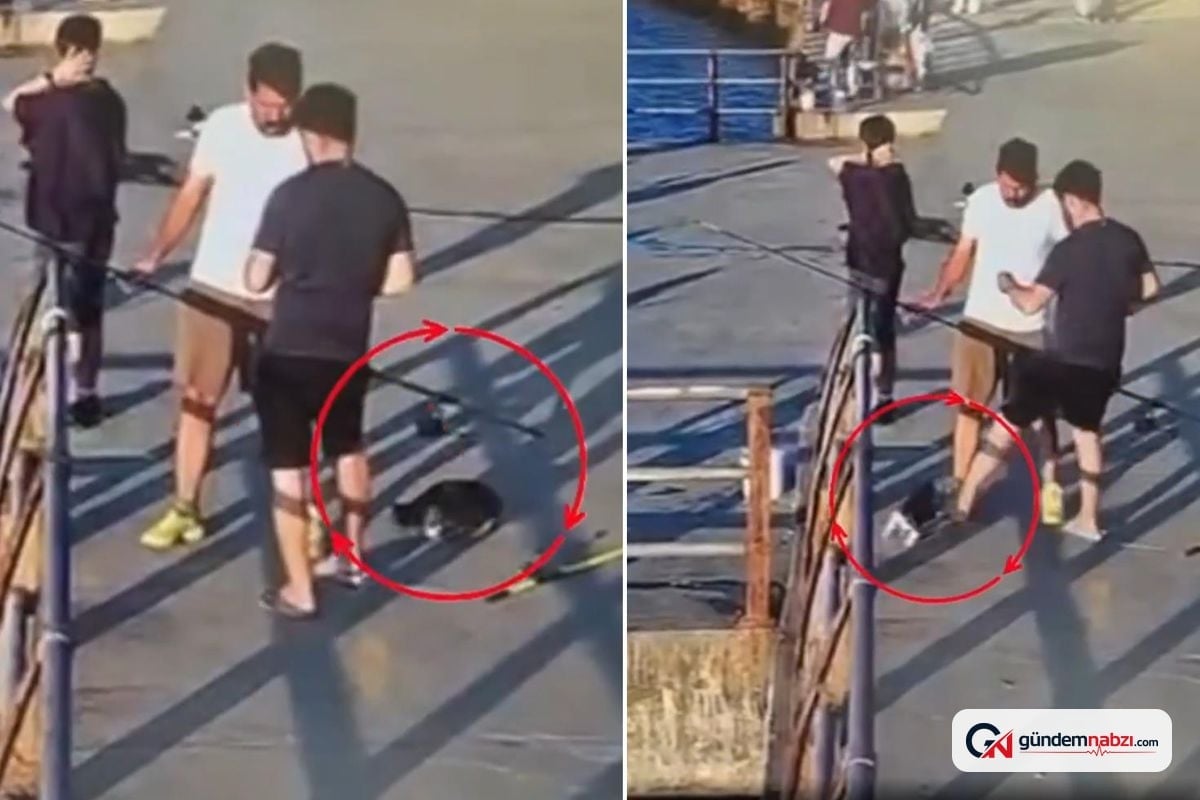 Üsküdar'da kediye tekme atan kişi denize düşürdü