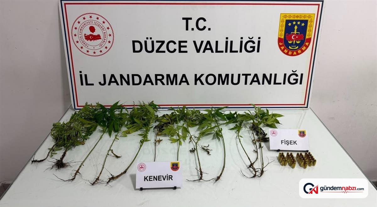 Düzce'de jandarma uyuşturucu operasyonu