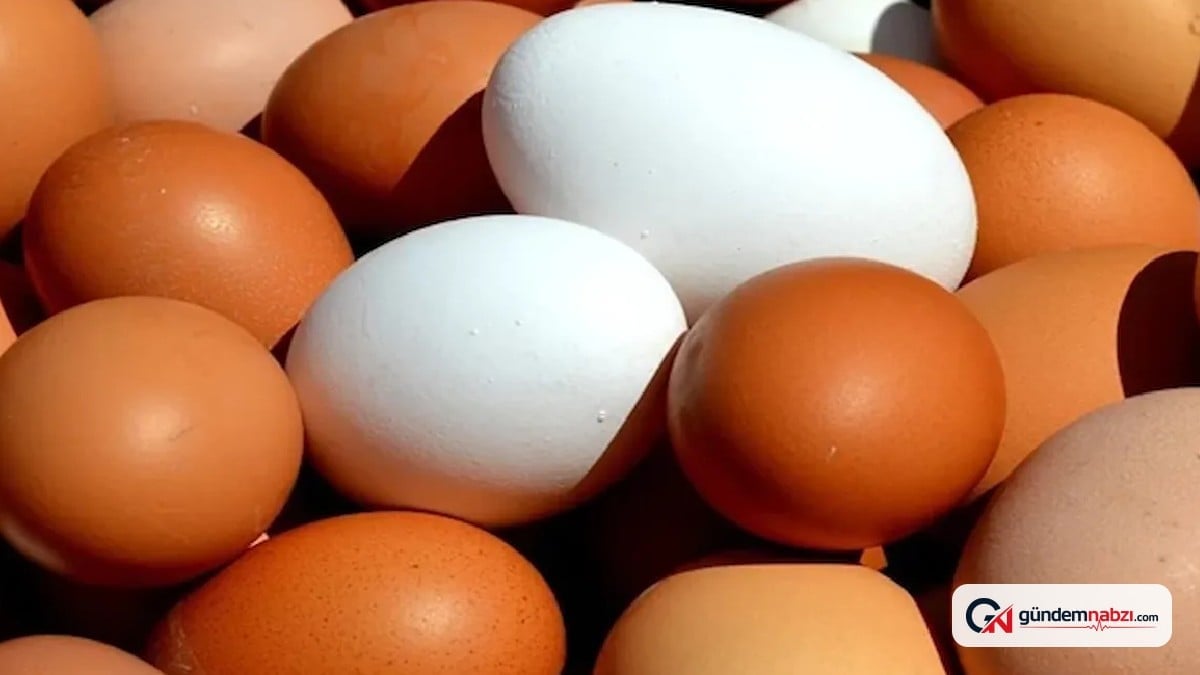 Salmonella salgını nedeniyle 1,5 milyon koli yumurta geri çağrıldı