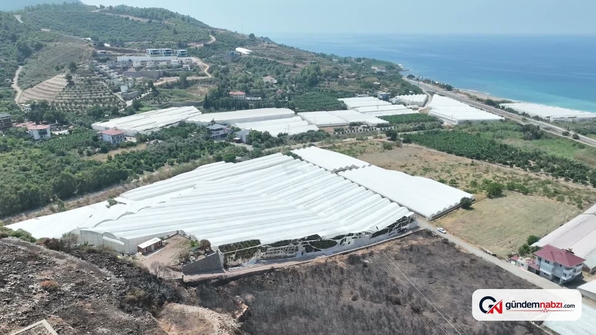 Antalya Büyükşehir Belediyesi, yangın mağdurlarına sera destek verdi