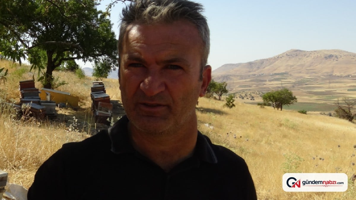 Dağlarda bal hasadı heyecanı: 10 gün kaldı