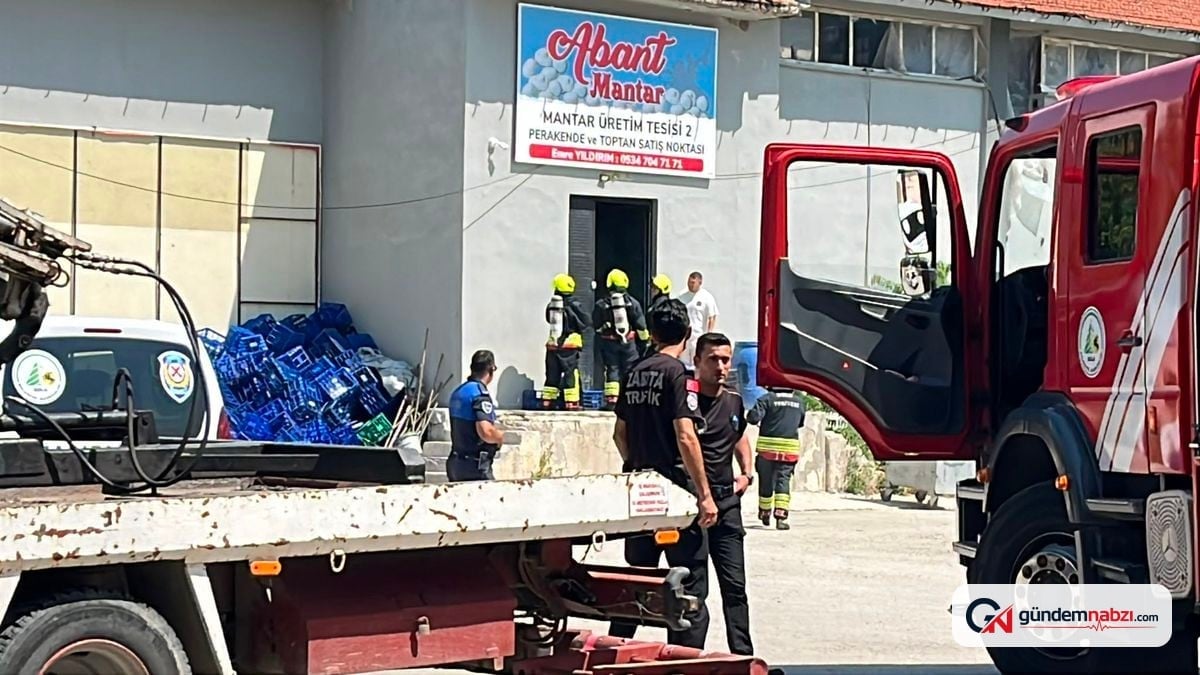 Bolu'da mantar tesisindeki ilaçlama dumanı yangın paniğine yol açtı