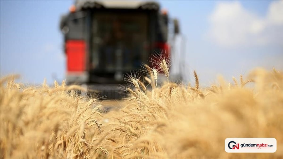 Küresel gıda fiyatları 3,5 yılın en yüksek seviyesine ulaştı