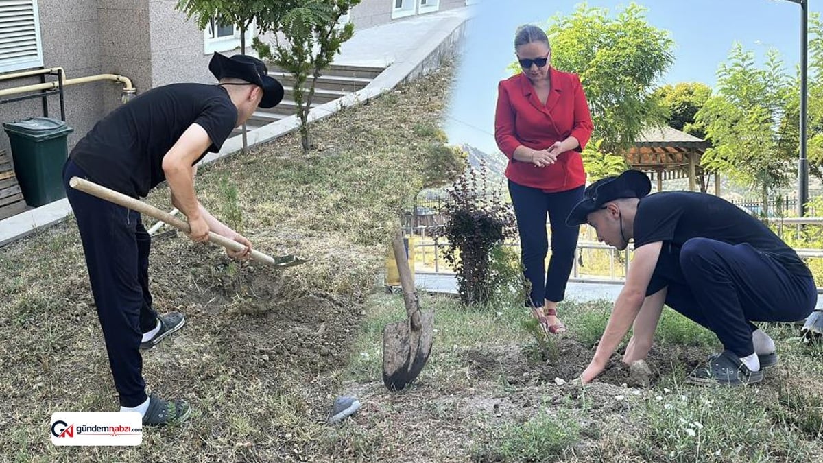 Konut dokunulmazlığını ihlal eden kişi adliye bahçesine fidan dikti