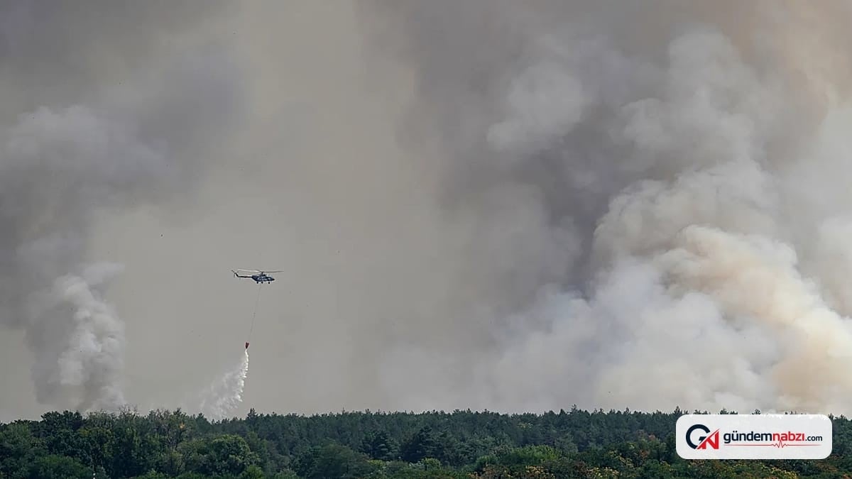 Avrupa'da sıcak hava dalgası orman yangınlarını artırıyor