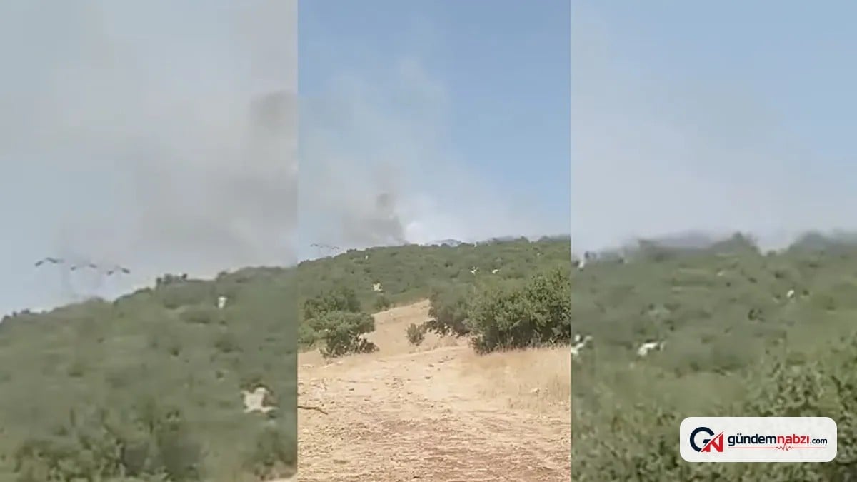Adıyaman'ın Besni ilçesinde orman yangını kontrol altına alındı
