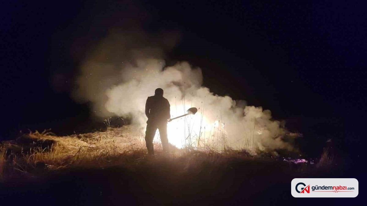 Sivas'ta buğday tarlasında yangın: 20 dönüm alan küle döndü