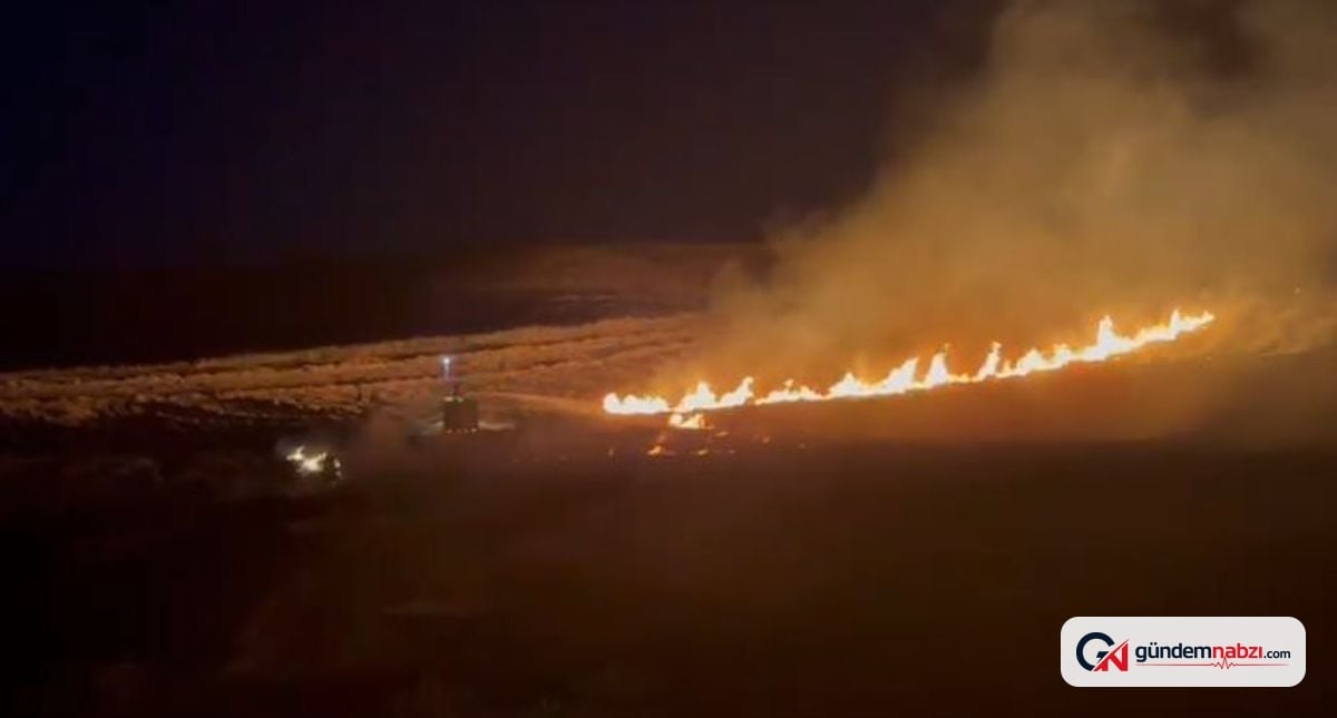 Çorum Alaca'da anız yangını: 500 dönüm zarar gördü, 450 balya yandı